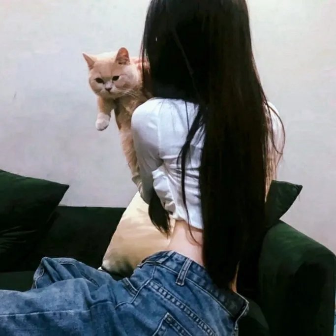 摸金爵之卧龙诡阵